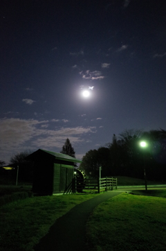 2014/12/07_月夜の下芝水辺公園