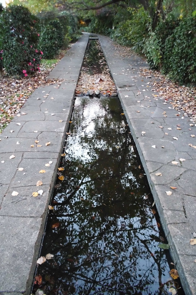 2014/11/15_鴨川みずべの里