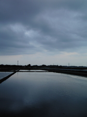 2017/05/27_水田の曇天