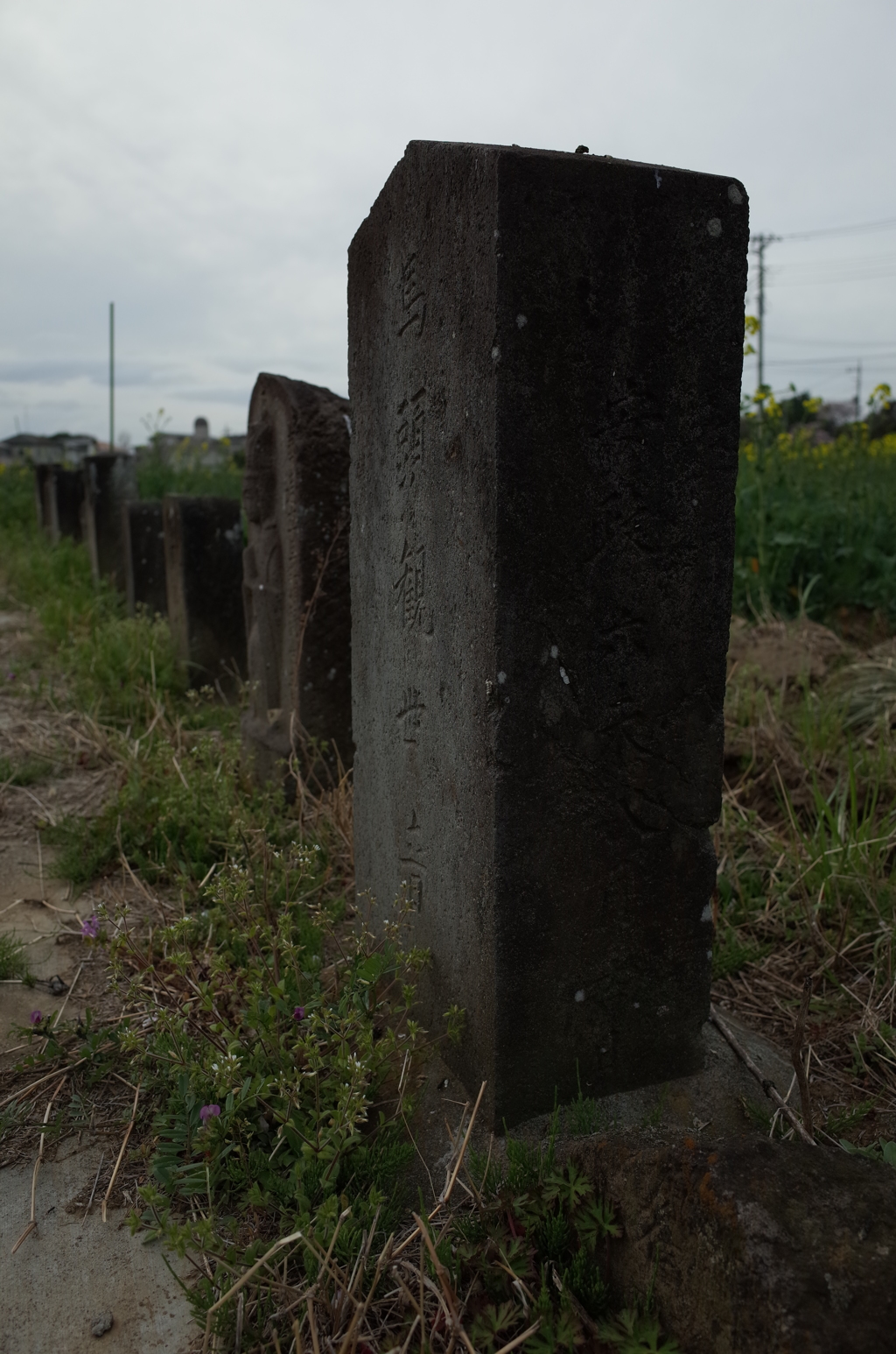 2016/04/03_馬頭観音群