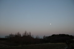 2014/03/15_月と木