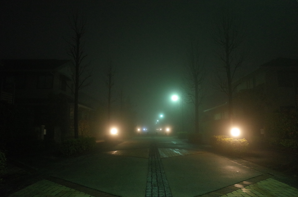 2015/02/08_霧の夜