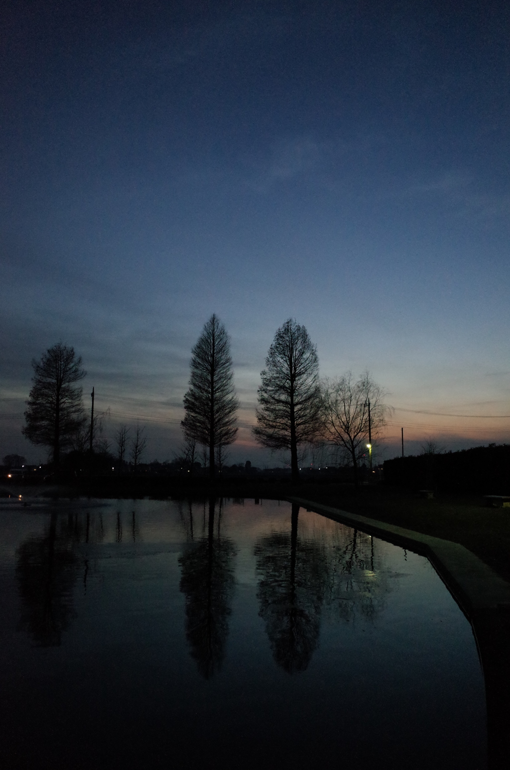 2014/12/28_川里中央公園の夕暮れ