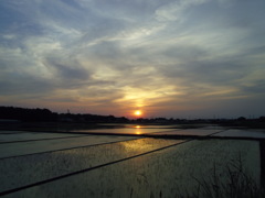 2017/05/21_水田の夕暮れ