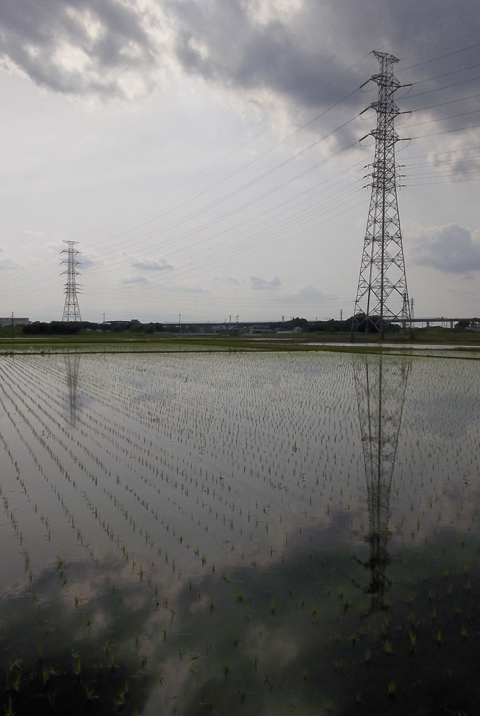 2015/06/07_水田に曇天