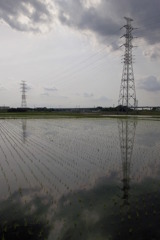 2015/06/07_水田に曇天