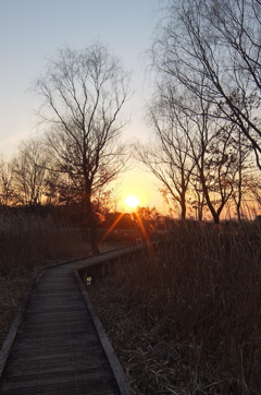 2015/02/11_ホタルの里