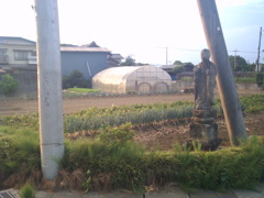 2017/06/11_ぎりぎりなお地蔵さん