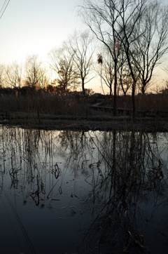 2015/02/11_ホタルの里