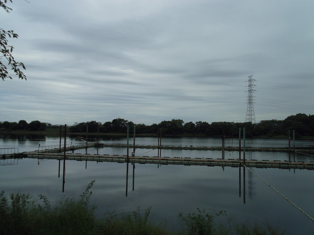 2016/10/10_曇天の溜め池