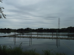 2016/10/10_曇天の溜め池