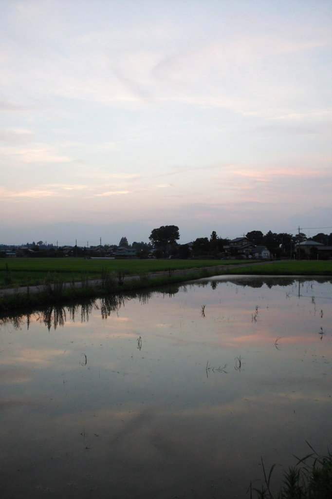 2015/07/25_水田の夕暮れ