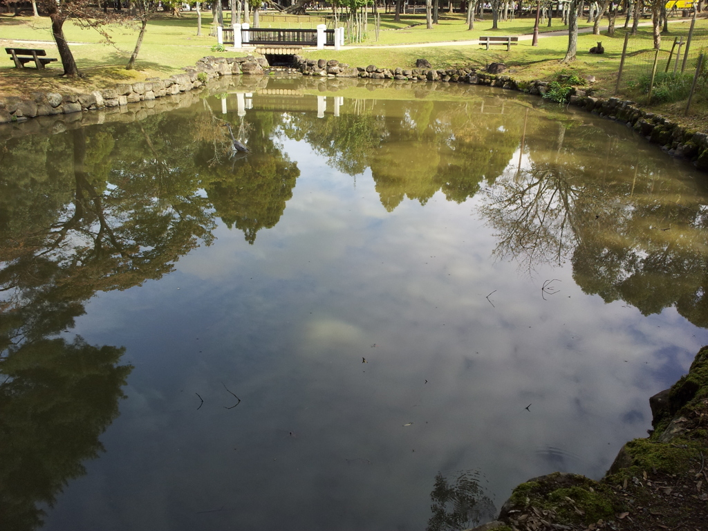 2016/10/18_奈良公園 浅茅ヶ原園地の池に空