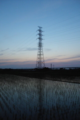 2016/06/18_水田の夕暮れ