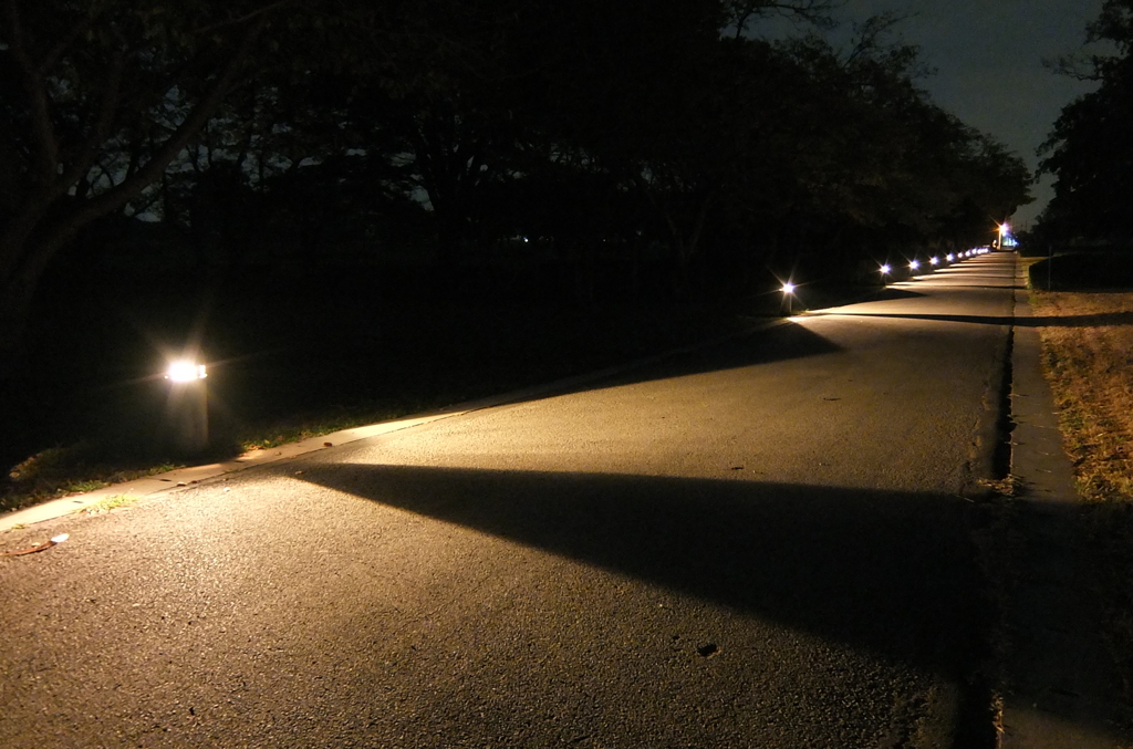 2014/10/19_夜のさきたま古墳公園