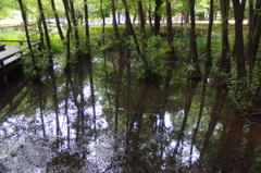 2015/07/05_伊奈町制施行記念公園