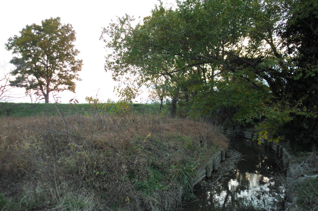 2014/11/23_夕暮れの小川