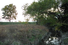 2014/11/23_夕暮れの小川