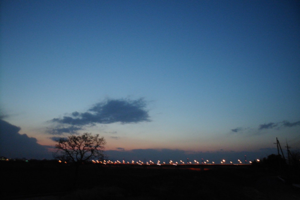 2014/03/09_夕暮れの木と太郎右衛門橋