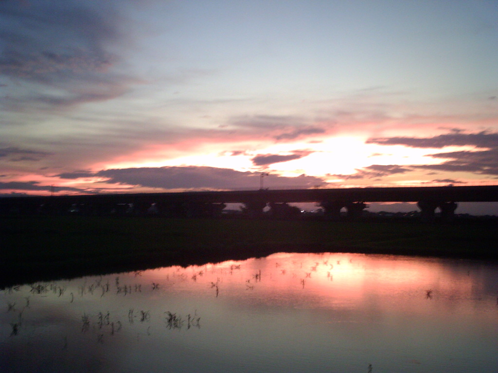 2015/07/19_水田の夕暮れ