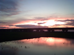 2015/07/19_水田の夕暮れ