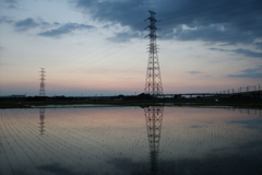 2016/06/05_水田の夕暮れ