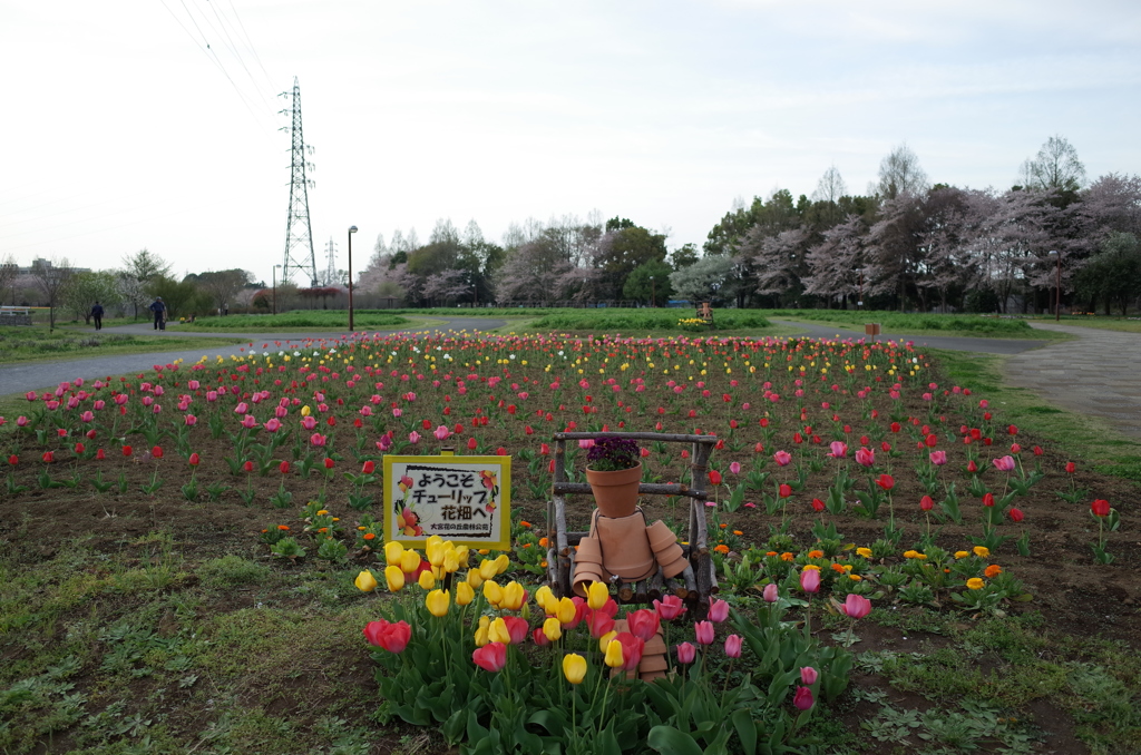 2016/04/09_花の丘農林公苑のチューリップ