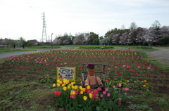 2016/04/09_花の丘農林公苑のチューリップ