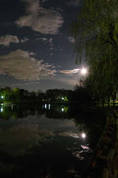 2014/12/06_月夜の北本総合公園