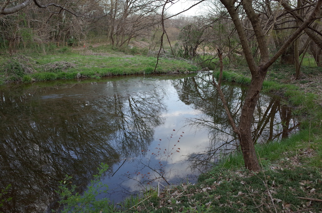 2016/03/26_北本自然観察公園