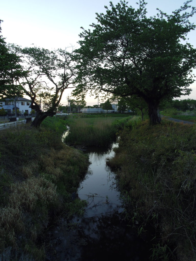 2017/05/04_夕暮れの栢間赤堀