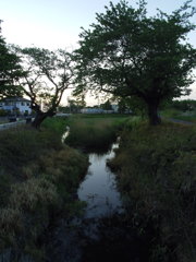 2017/05/04_夕暮れの栢間赤堀