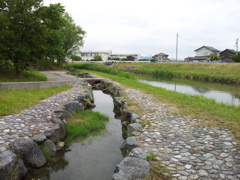 2017/06/13_吉田川水辺の楽校