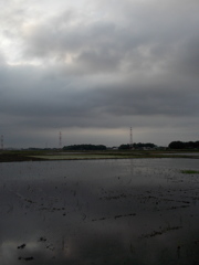 2017/05/27_水田の曇天