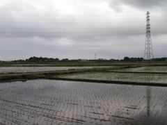 2017/05/27_水田の曇天