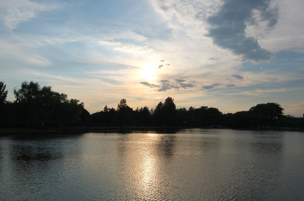 2014/06/15_夕暮れのしのぶ池