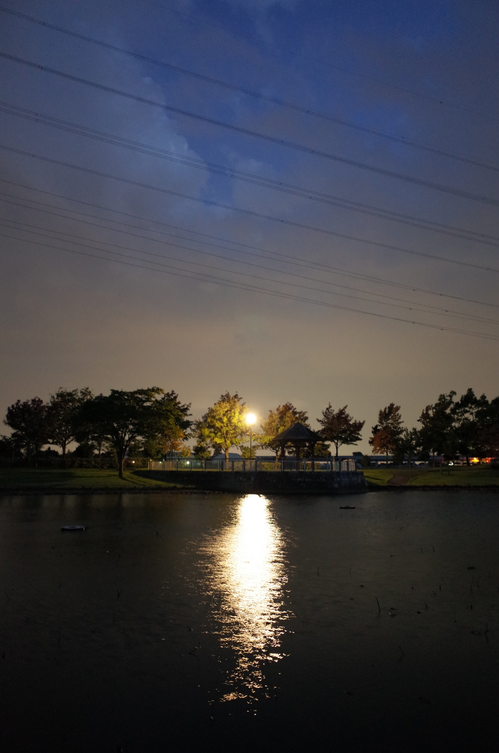 2015/10/04_夕暮れの平成の森公園
