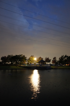2015/10/04_夕暮れの平成の森公園