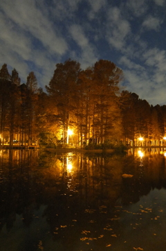 2014/12/07_夕暮れの別所沼公園