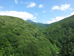 2018/07/15_城ヶ倉大橋から堤川上流を望む