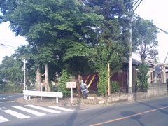 2017/06/11_三叉路のお巡りさん