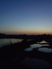 2017/04/15_水溜まりと溜め池の夕暮れ