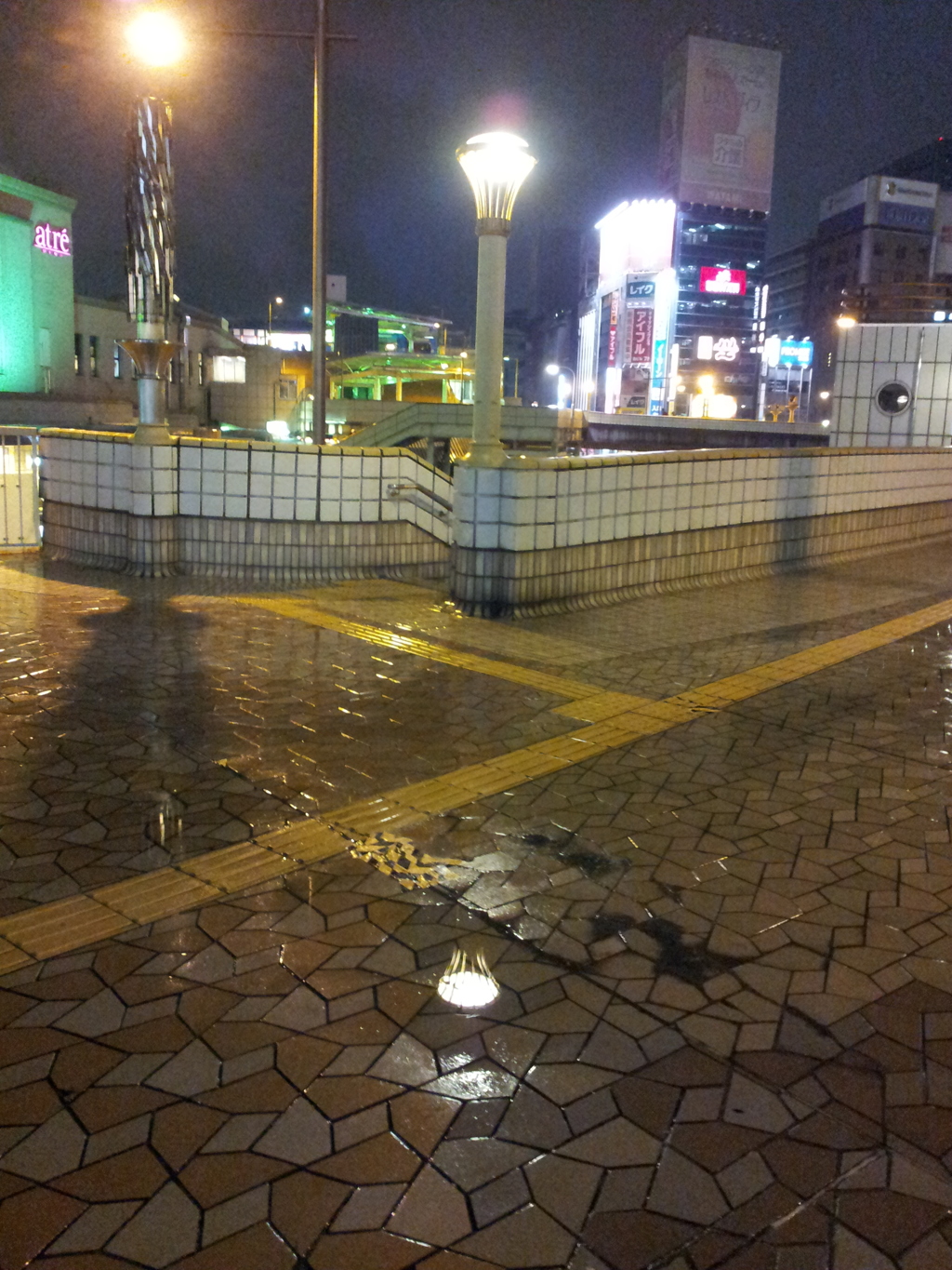 2015/01/22_夜、雨上がりの上野