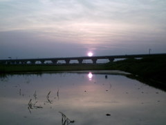 2015/07/12_水田の夕暮れ