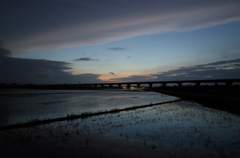 2015/06/28_水田の夕暮れ