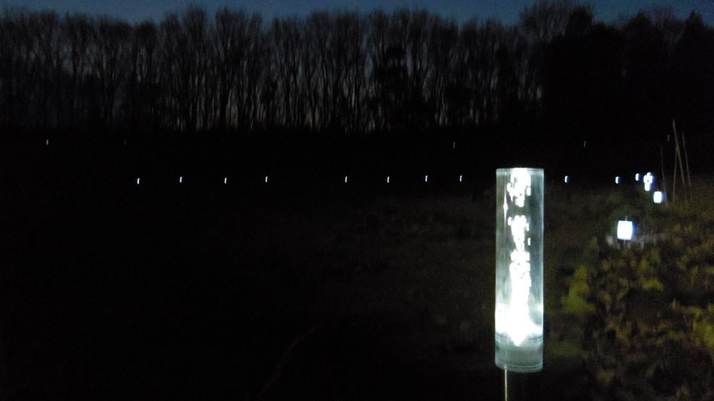 2014/01/18_夕暮れの木とソーラーライト