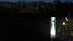 2014/01/18_夕暮れの木とソーラーライト