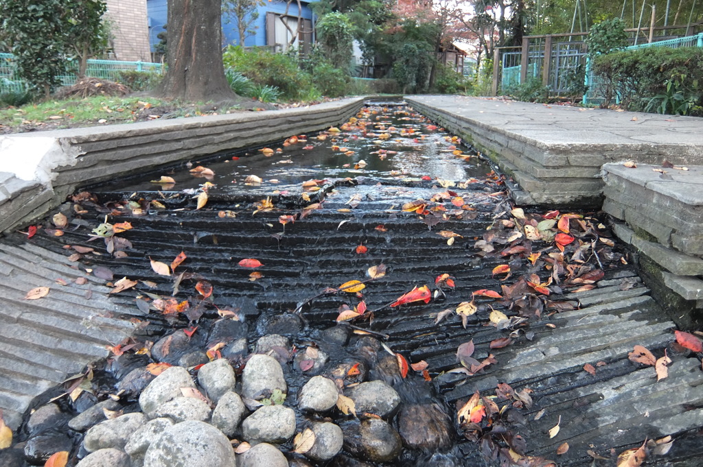 2014/11/15_鴨川みずべの里