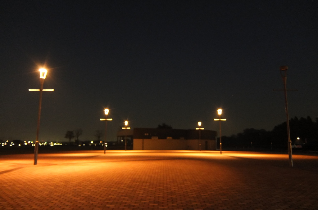 2014/11/22_夕暮れのさきたま古墳公園