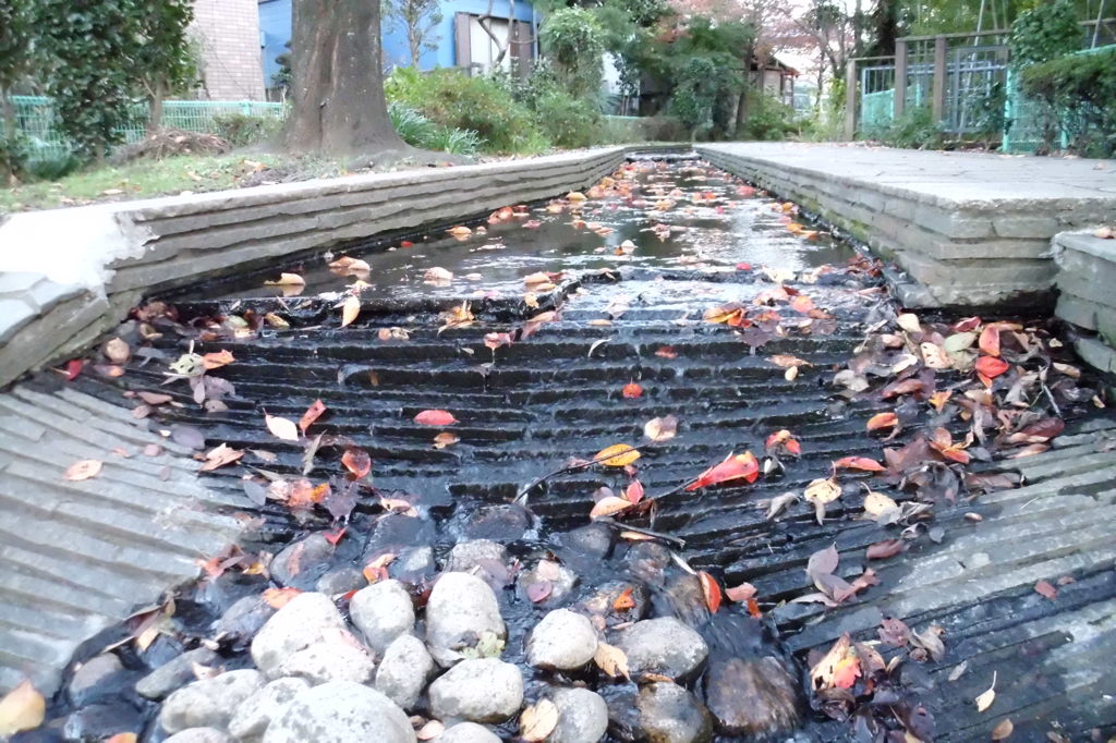 2014/11/15_鴨川みずべの里